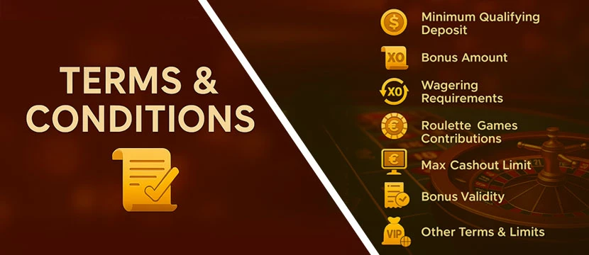Terms & Conditions Terms & Conditions