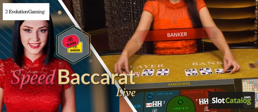 Speed Baccarat Speed Baccarat